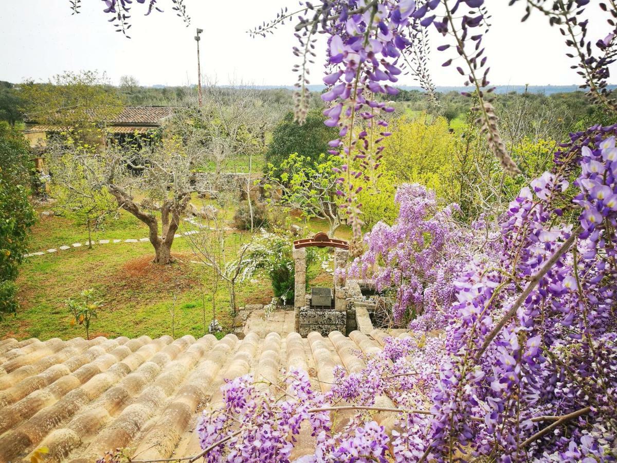Masseria Borgo Del Gallo Триказе Екстер'єр фото